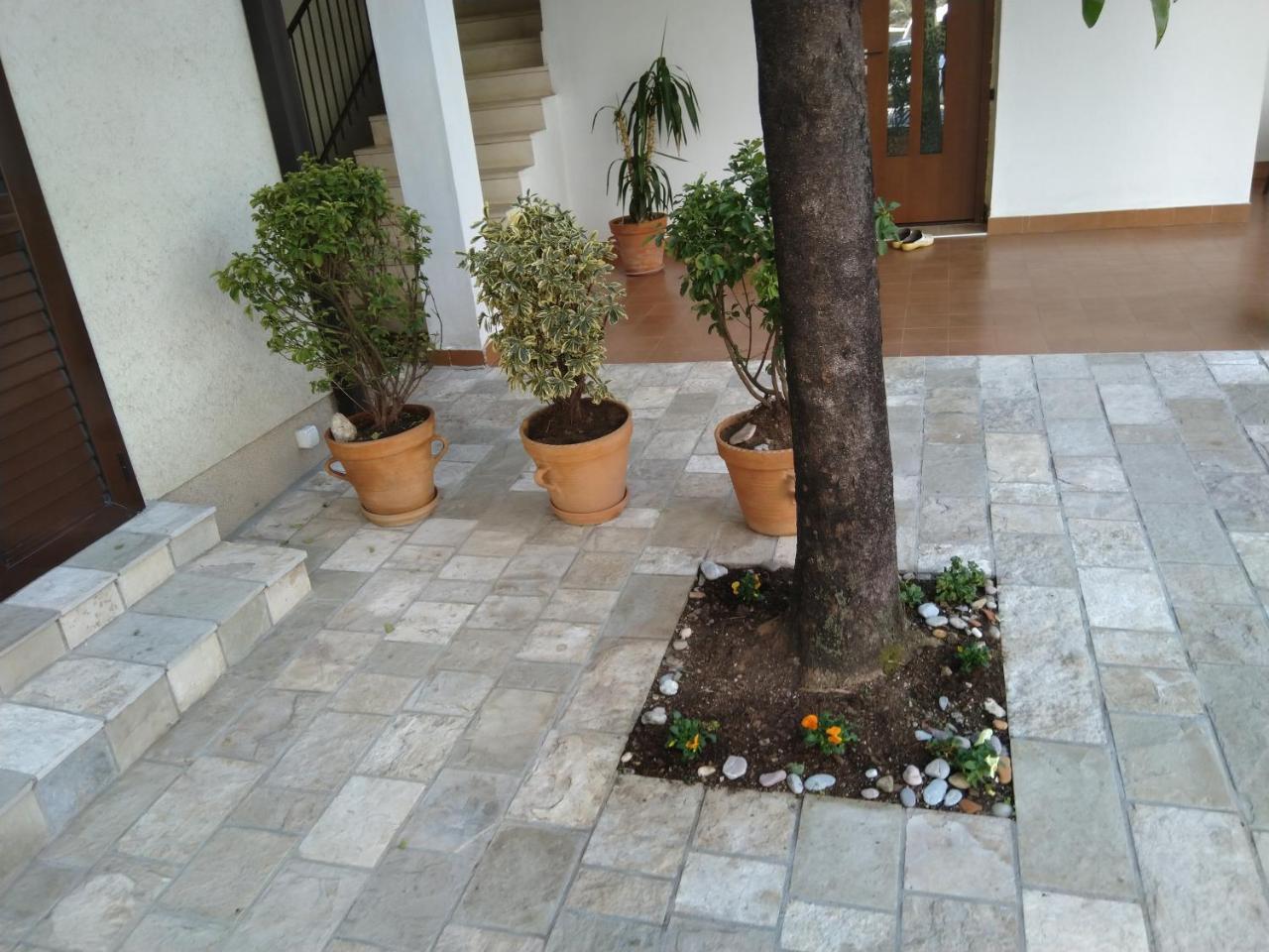 Studio Apartments 6 Palmi Budva Exteriér fotografie